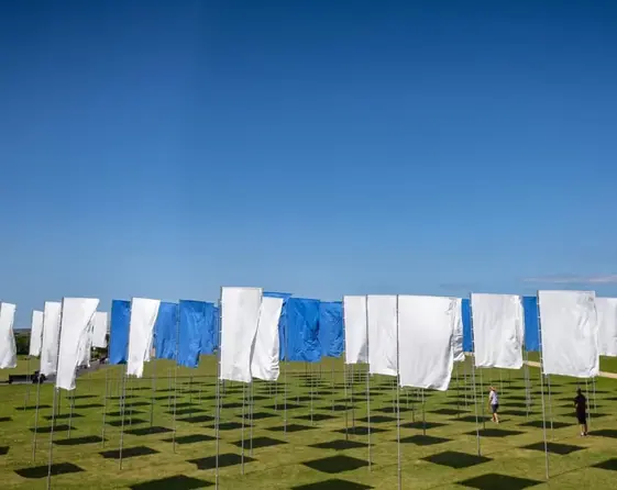 QVNIMT Ix Nj A0 O Dk4 jpg