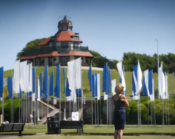 QVNIMT Ix Nj A0 O Dk5 jpg