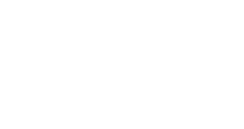 4dx seeklogo
